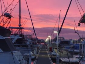 Tauranga Bridge Marina 12m Berth for Sale