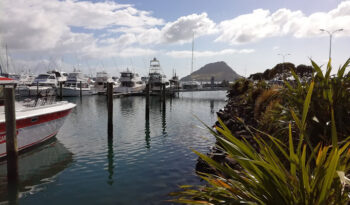 Marina Berth for Sale (20m)