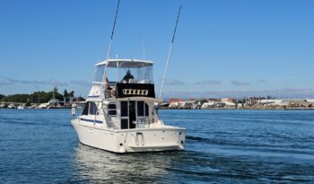 Caribbean 35 Flybridge Cruiser (1994)