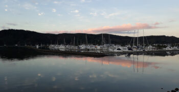 Whangamata Marina