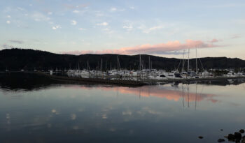 Whangamata Marina 15m Berth For Sale