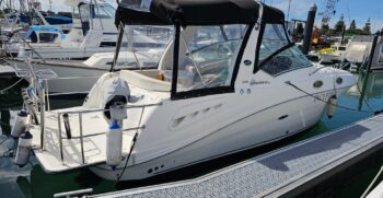 Sea Ray P2