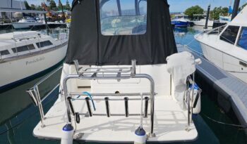 Sea Ray Sundancer 275 (2006)