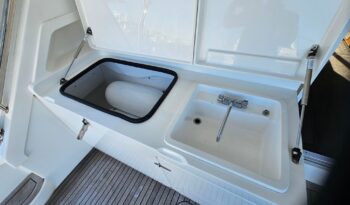 Cockpit sink and freezer