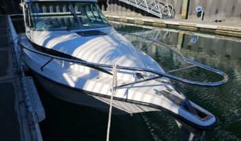 Rayglass 2500 Legend (2009)