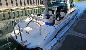 Rayglass 2500 Legend (2009)