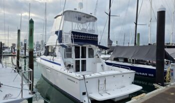 Caribbean 35 2005