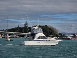 Caribbean 35 (2005)
