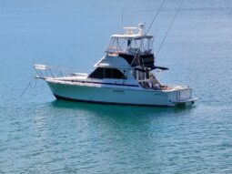 Caribbean 35 (2005)