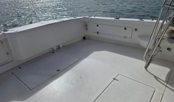 cockpit 1