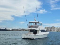 Mustang 43 Flybridge Cruiser (2007)