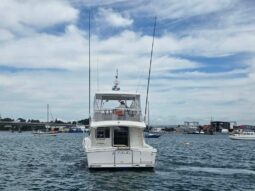 Mustang 43 Flybridge Cruiser (2007)