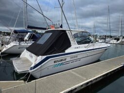 Sea Ray 300 Sport (1993)