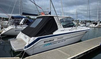 Sea Ray 300 Sport