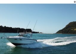 Sea Ray 300 Sport (1993)