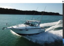 Sea Ray 300 Sport (1993)