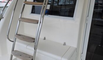ladder