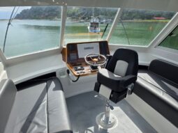 Pelin Challenger (1991)