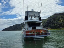 Pelin Challenger (1991)