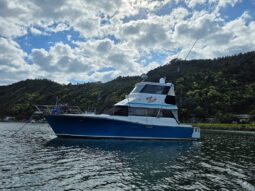 Pelin Challenger (1991)