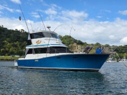 Pelin Challenger (1991)