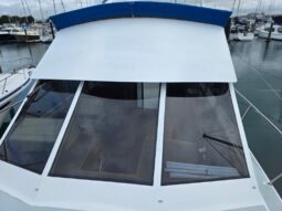 Pelin Liberty (2012)