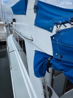 Pelin Liberty (2012)