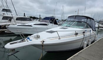 Sea Ray