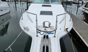 Sea Ray Bow