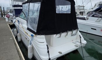 Sea Ray Rear Cover