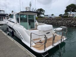 Rayglass 4000 (2006)