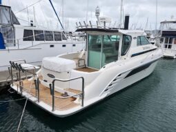 Rayglass 4000 (2006)