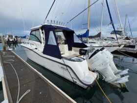 Boston Whaler 315 Conquest (2015)