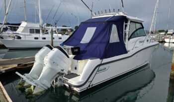 Boston Whaler 315