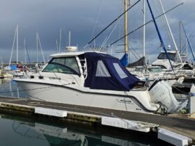 Boston Whaler 315 Conquest (2015)