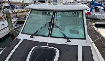 front windows