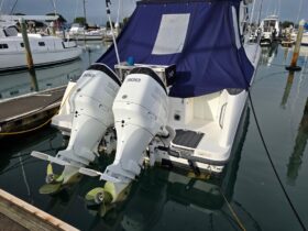 Boston Whaler 315 Conquest (2015)