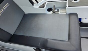 cockpit controls